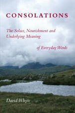 Consolations: The Solace, Nourishment & Under...