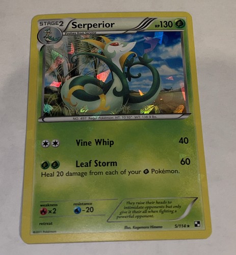 Serperior 5/114 Cracked Ice Holo Rare Black & White Base Set Pokemon Card