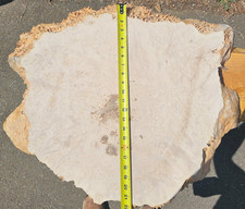 Live Edge Maple Wood Burl Cookie Slab