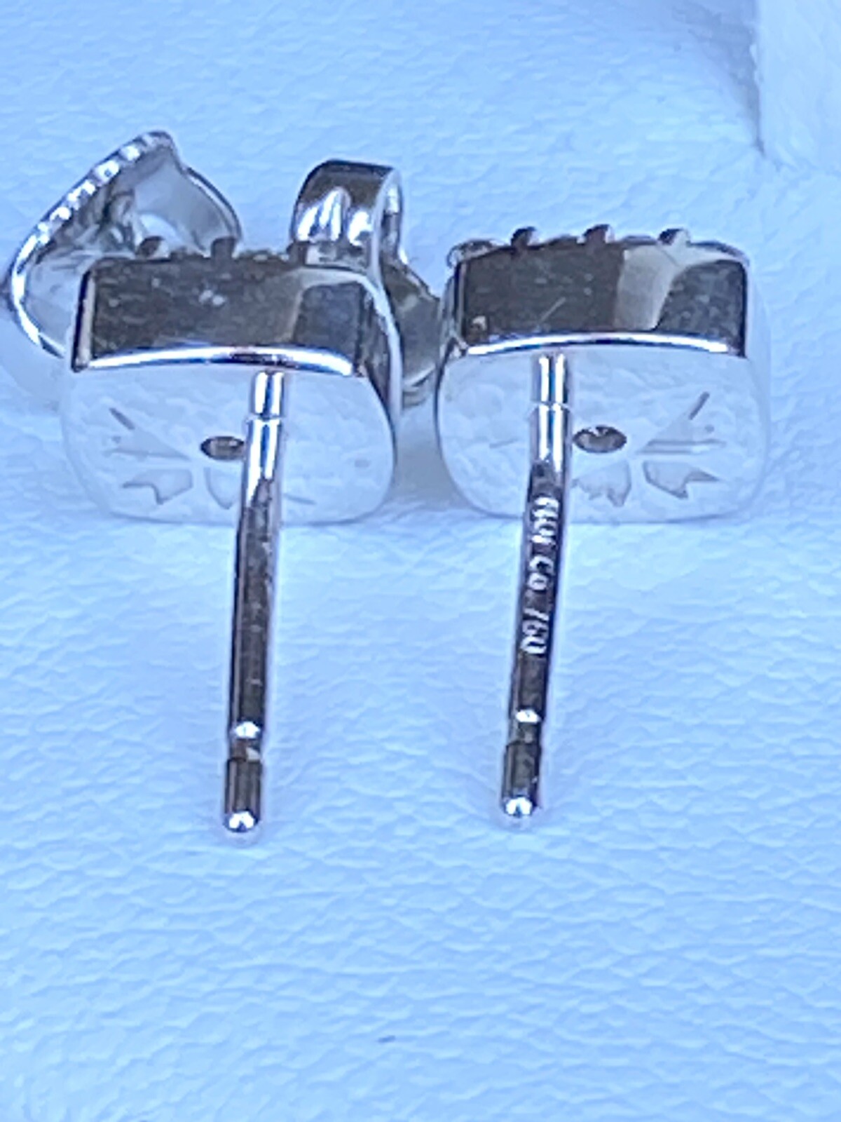 Picture 9 of 19