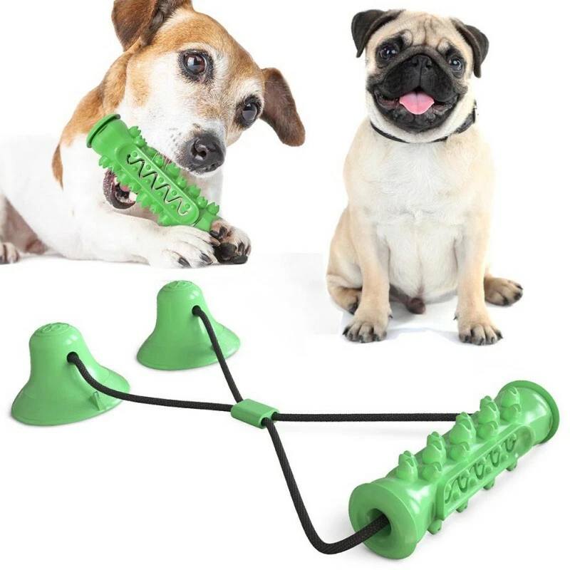 Dog chew hot sale sticks for puppies