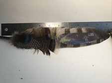 Cowboy Hat Feather Western, Stetson, Resistol, Style, The Great American Landing