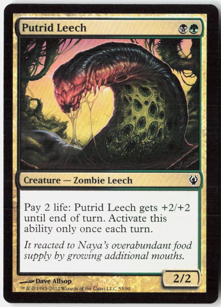 Magic - Putrid Leech Duel Decks: Izzet vs. Golgari [DDJ - 53] NM Common