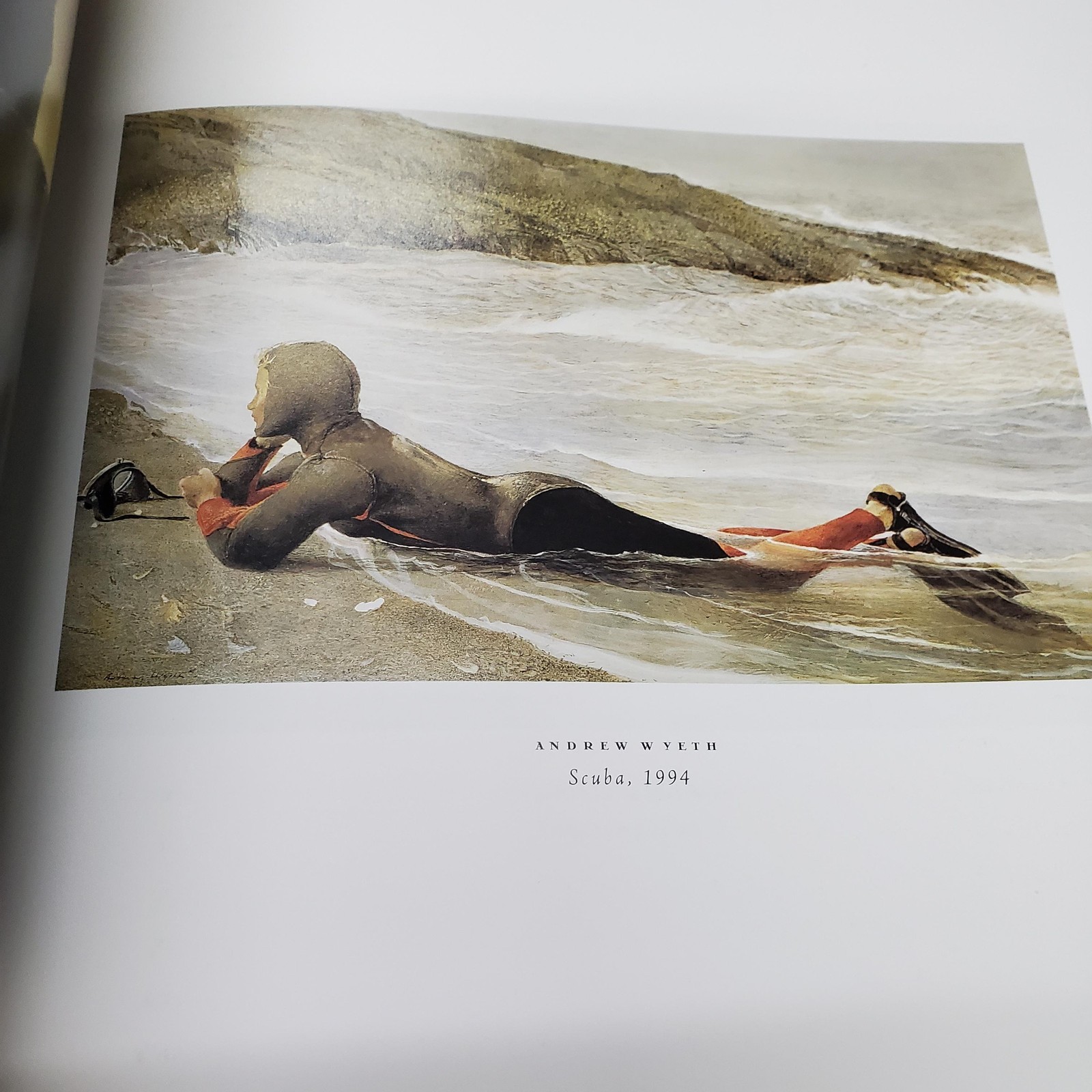 Wondrous Strange Wyeth Tradition Art Book Hardcover Howard Pyle Andrew James