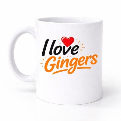 Lustige Tasse Kaffee Tee Tasse Geschenkidee Rude Mug Keramik I Love Gingers M053