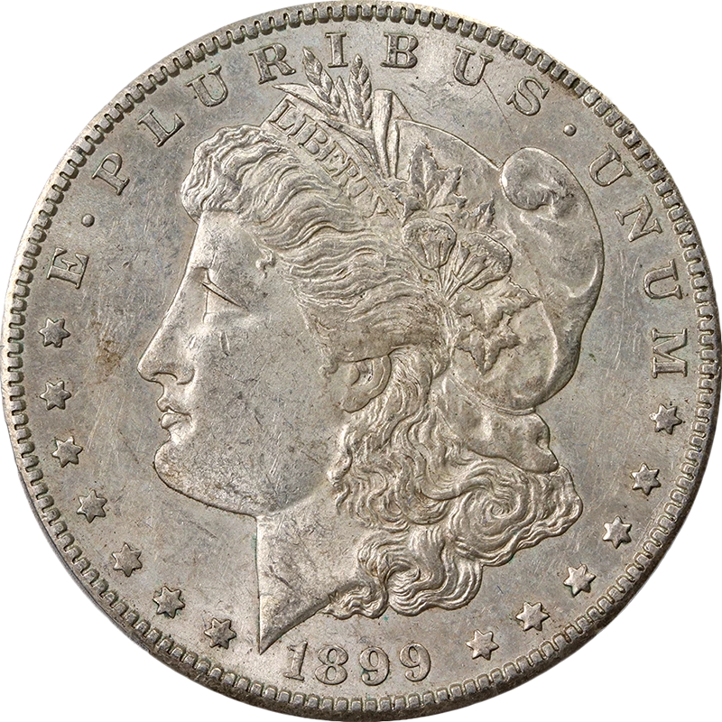 1899 Year Morgan US Dollars (1878-1921) for sale | eBay