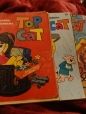 Top Cat 12 29 Gold Key 4 Charlton Silver Bronze Age Comics Lot Run Set...