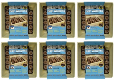 Jiffy T34H 34 Cell Self Watering Greenhouse Seed Starting Trays - 6 Pack