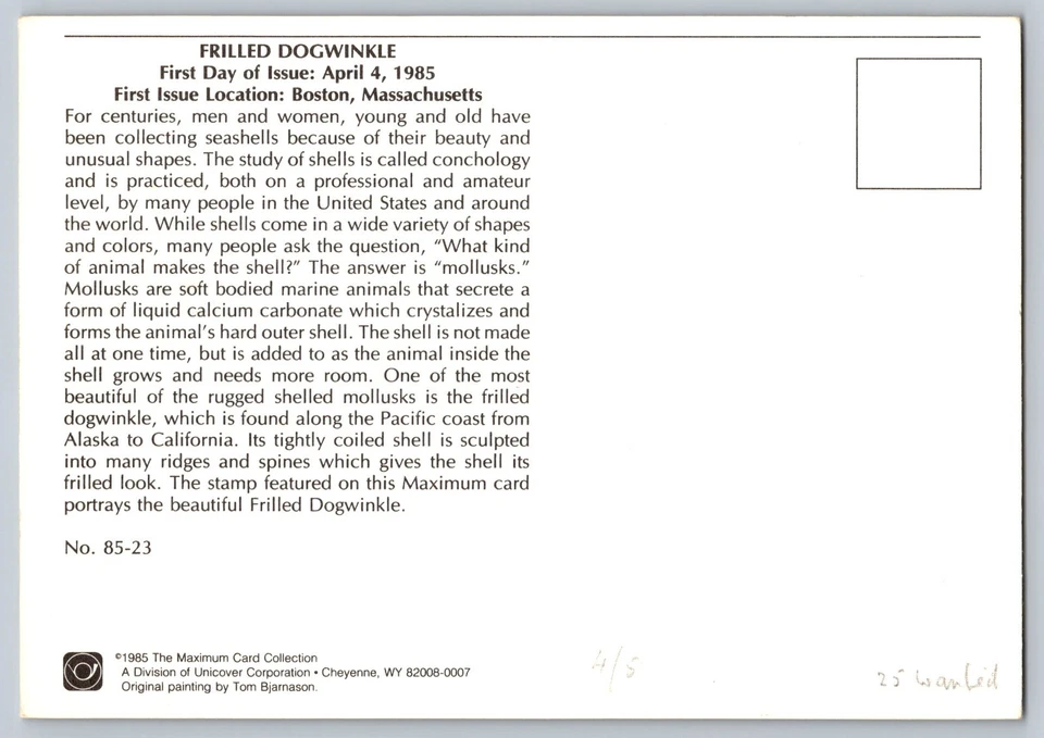 #2117-21 Seashells Set of 4 FDC Maxi Cards - Image 4 of 4