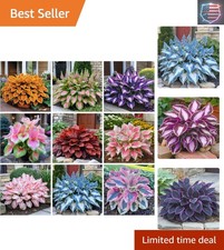 330 Hosta Seeds for Planting - Perennial Hosta Seeds Outdoor Garden Attract ...