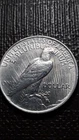 1924  Peace Silver Dollar    SM-70 E   (I don't collect them--Good Luck)
