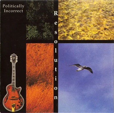 CD Resolution Politically Incorrect N*Soul