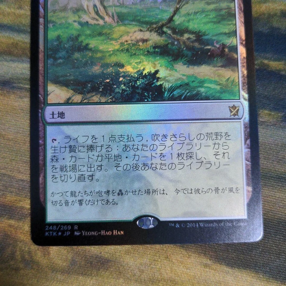 MTG Windswept Heath - Khans of Tarkir - FOIL - JPN - NM condition - Image 3 of 4