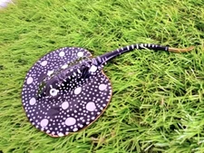 Jumbo Black Stingray handblown glass statue aquarium figurine handmade gold trim