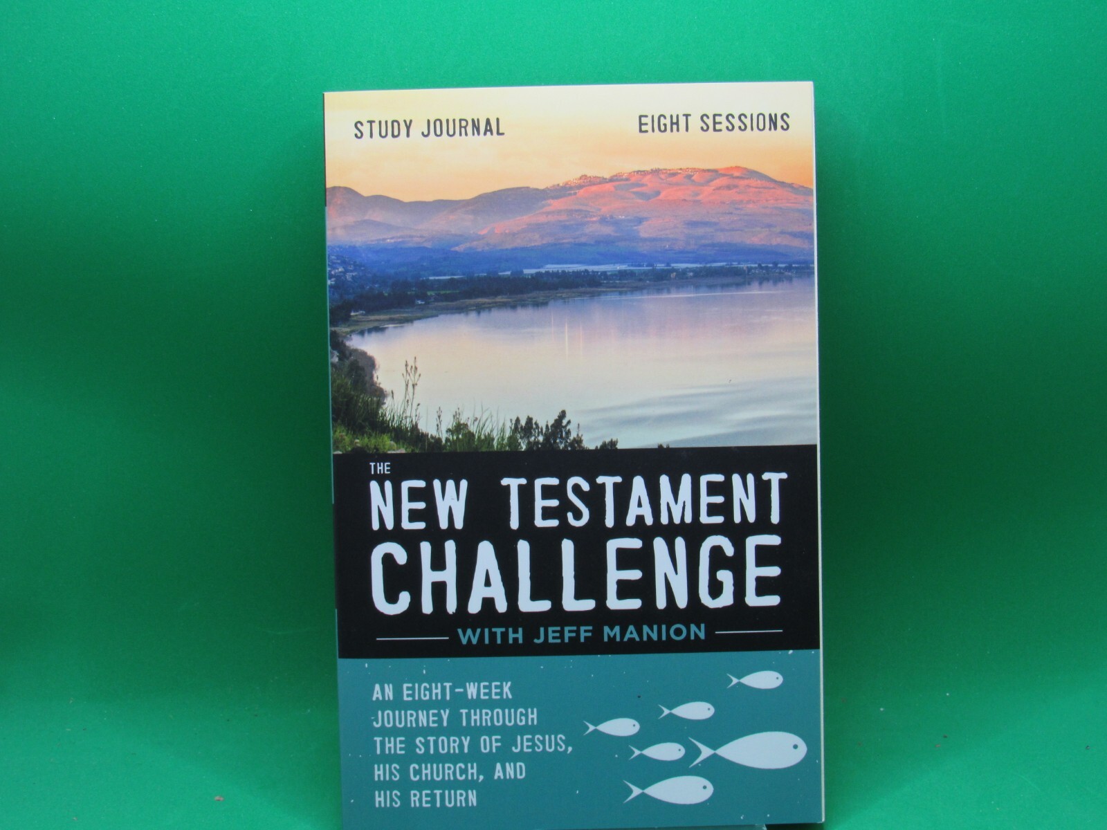 New Testament Challenge Study Journal 8-Week Journey Through Jesus Church and His Return by Jeff Manion