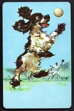 VINTAGE PLAYING CARD COCKER SPANIEL DOG BUTCH PLAYS BASEBALL STAEHLE SINGLE CARD