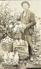 Seward, Alaska RPPC Man Harvesting Vegetables Rare & Delightful Resurrection Bay