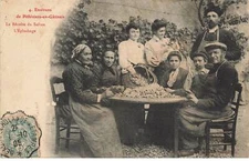 45 PITHIVIERS AN#MK0357 LA RECOLTE DU SAFRAN L EPLUCHAGE