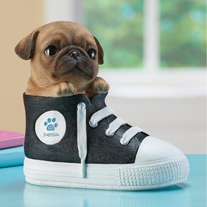puppy converse