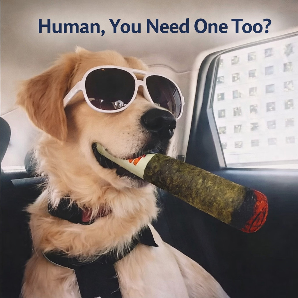 For Aggressive Chewers,indestructible Tough Durable Squeaky Dogtoy