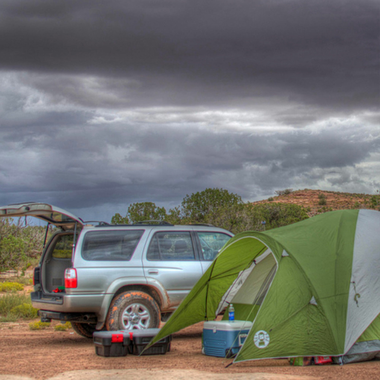 48 gallon storage bin