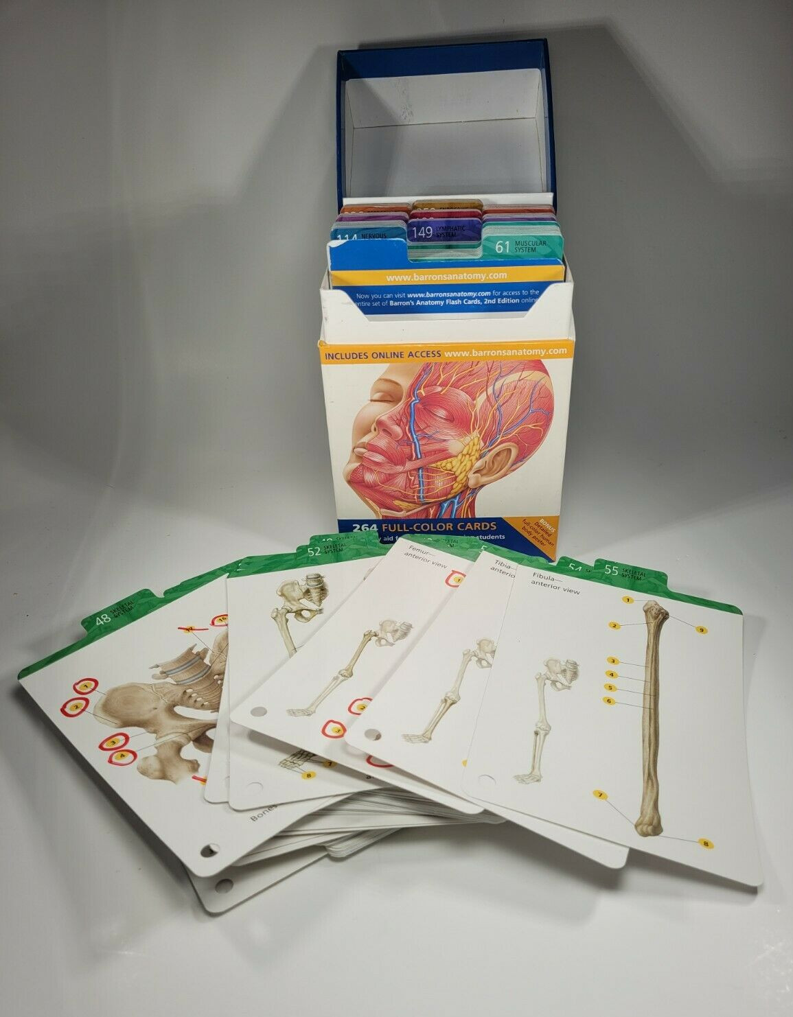 Medical Study Guide Barron's Anatomy Flash Cards 2nd Edition