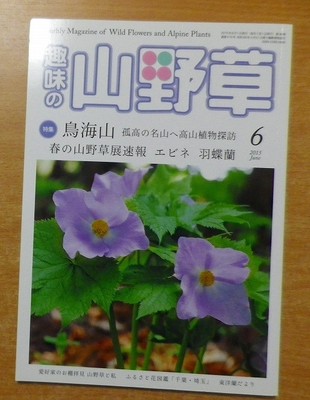 wa Hobby Wildflowers 2015 June Issue
