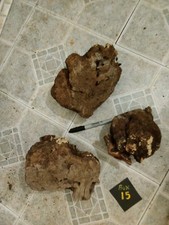 BOX 15, SOLID RED MANZANITA BURLS BOX OF 3