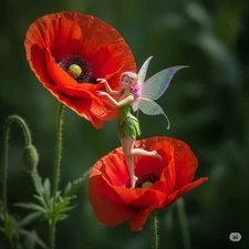 Digital Image Picture Wallpaper Background Desktop Art Download