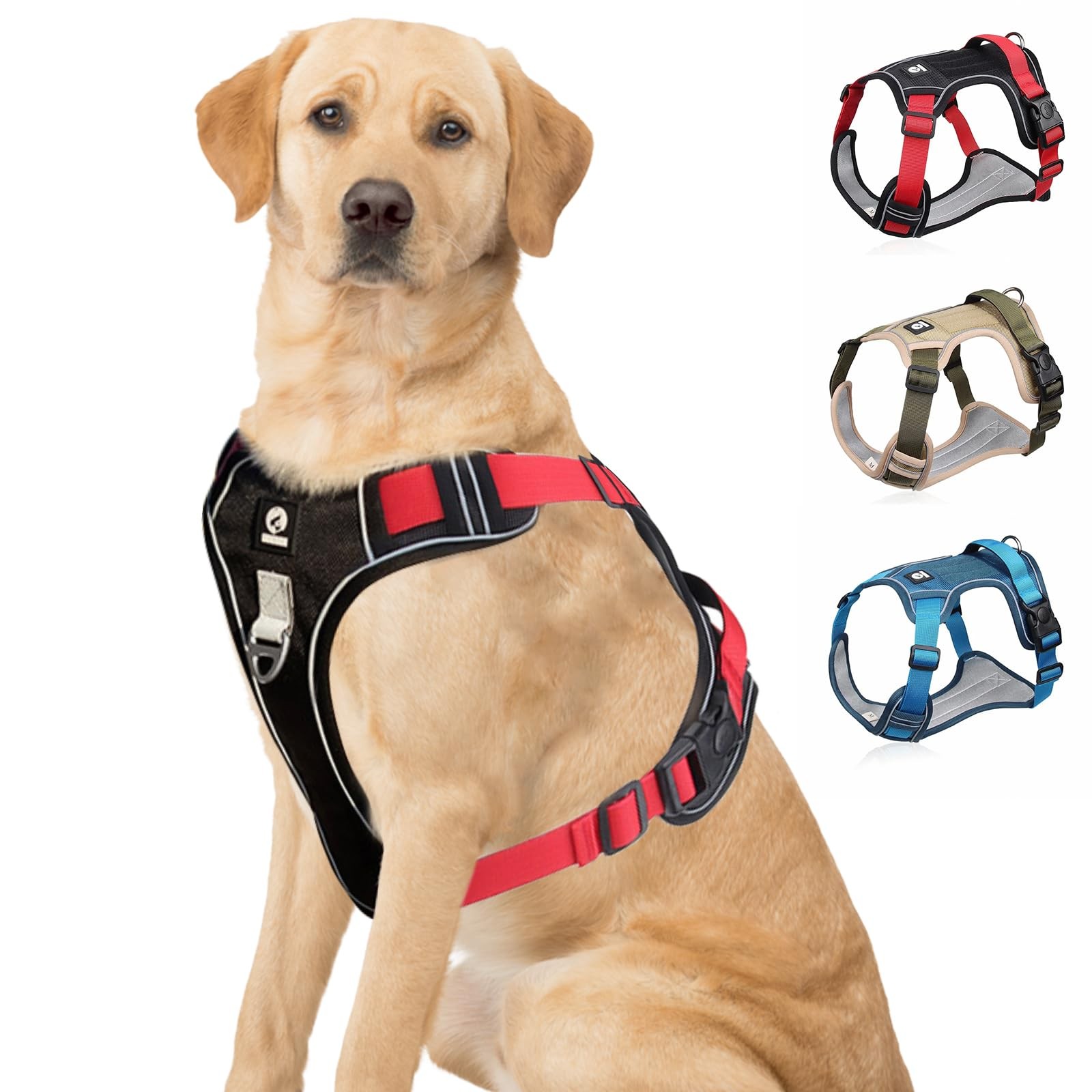 Harnais pour Chien Réfléchissant Vert Fluo S Sécurisé pour Promenade Nocturne en Ville
