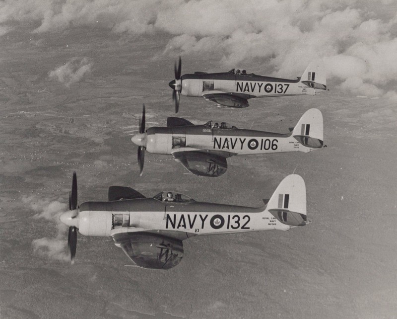 Hawker Sea Fury FB11 Royal Canadian Navy Fighter Trio 1950s - Original Photo