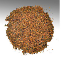 Tera Mira or Tara Mera Seeds 50g 