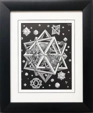    M.C.Escher "Stars" 1948 CUSTOM FRAMED Art Graphic Iguana Lizard Dragon Modern