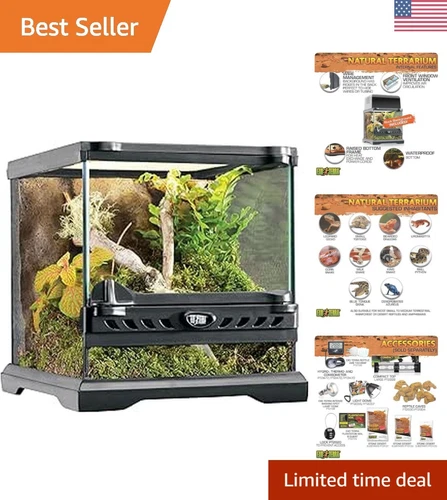 8x8 Inch Glass Terrarium Kit - Ideal Habitat for Reptiles and Amphibians