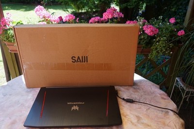 ACER Predator Helios 300 (PH317-52-720Y), Gaming Notebook, mit 17,3 Zoll Display