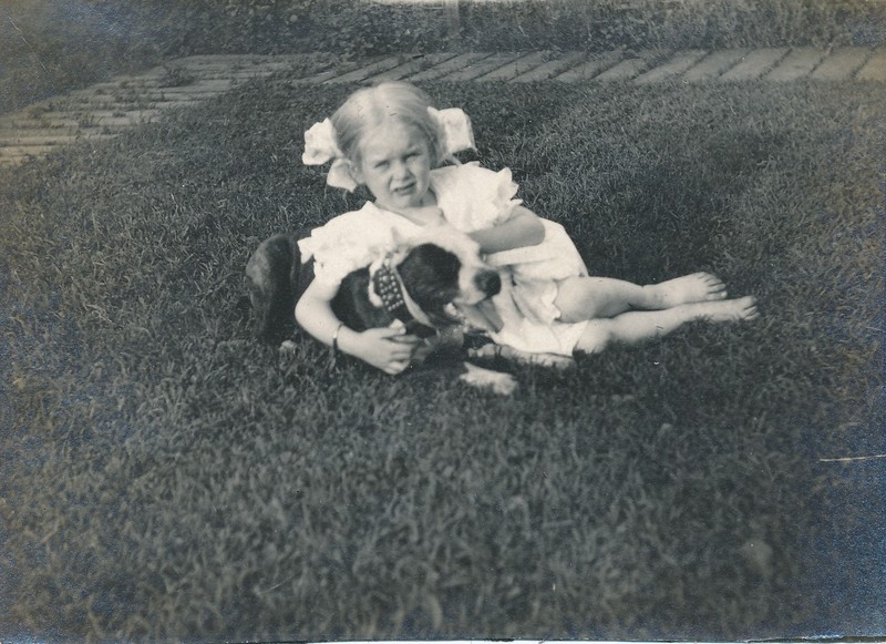 vintage snapshot photo: 1907 Pit Bull Terrier Dog Pitbull Photograph Girl #24