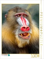 Calvendo Puzzle Monkey | 1000 Pieces, Finished Size 25.2 × 18.9 In (64 × 48 Cm)