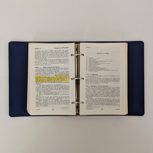 Vintage Criminal Law & Procedure Of Illinois - Gould Publications - 1981-1987 - Bild 4 von 8