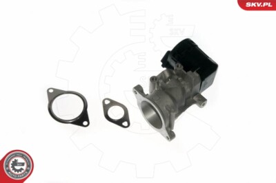 ESEN SKV 14SKV057 AGR-Ventil für ALFA ROMEO,CITROËN,FIAT,FORD,LANCIA,PEUGEOT,VOL