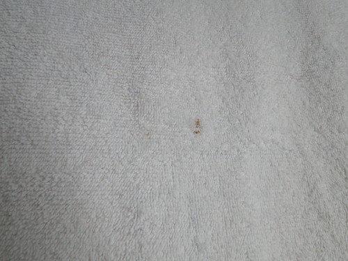 Vintage Cannon Pink Floral Towel USA 100% cotton 43" x 25", - Picture 4 of 5