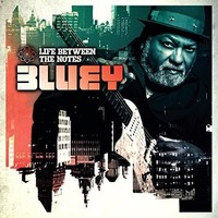 Bluey - Life Between The Notes - Cd - G4Z