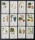 Vintage Coca-Cola Trade Cards (12) The World of Nature ; Trees and Other Plants