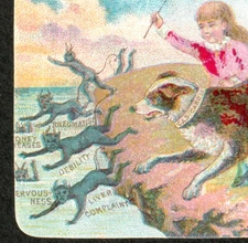 1800's Disease Demons = Cascarria Dog Allegorical Kidney Liver Devil Trade Card