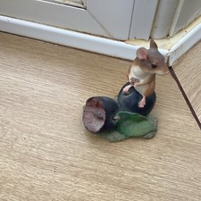 BORDER FINE ARTS STUDIO MOUSE ON PLUM A8008