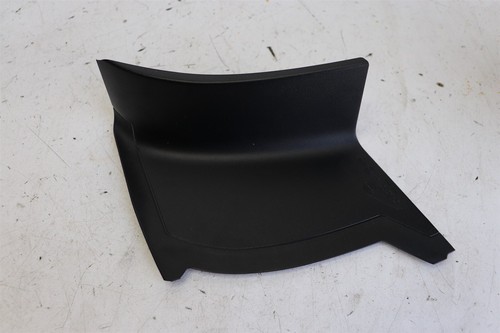 Rear light trim molding