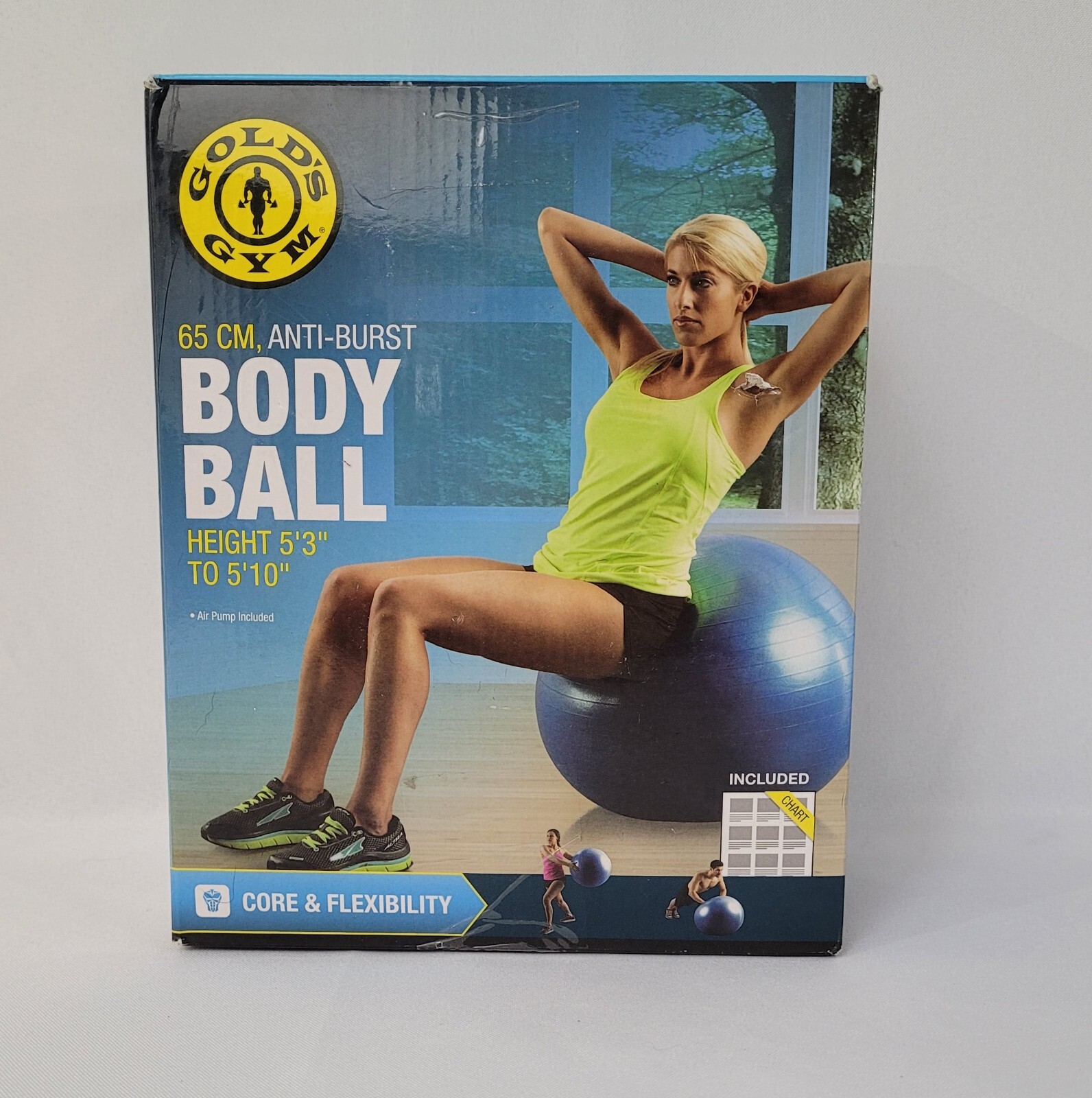 GOLD'S GYM Fitness Body Ball 65 cm w/Air Pump & Exercise Chart Up To 250 lbs NEW