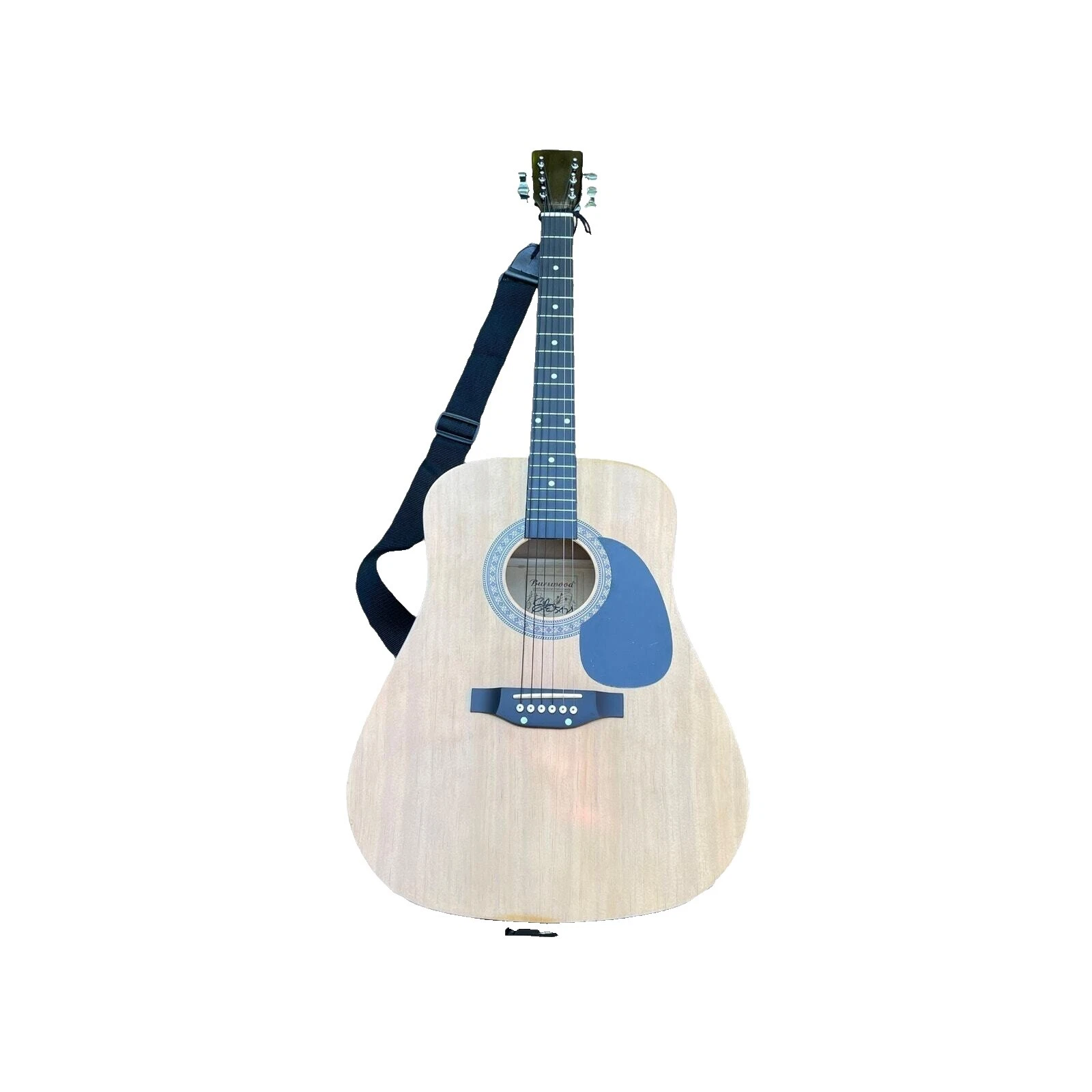 Burswood Guitars & Basses