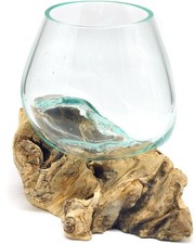 Root with Glass Vase Round Diameter Approx. 11-12 cm Glass Ball Vase on Wood Bur