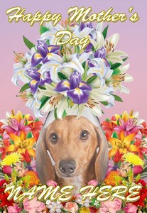 happy mothers day dachshund