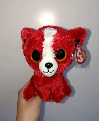 Seltene TY Beanie Boos - Tomate der rote Showhund USA exklusives 6 Zoll Stofftier
